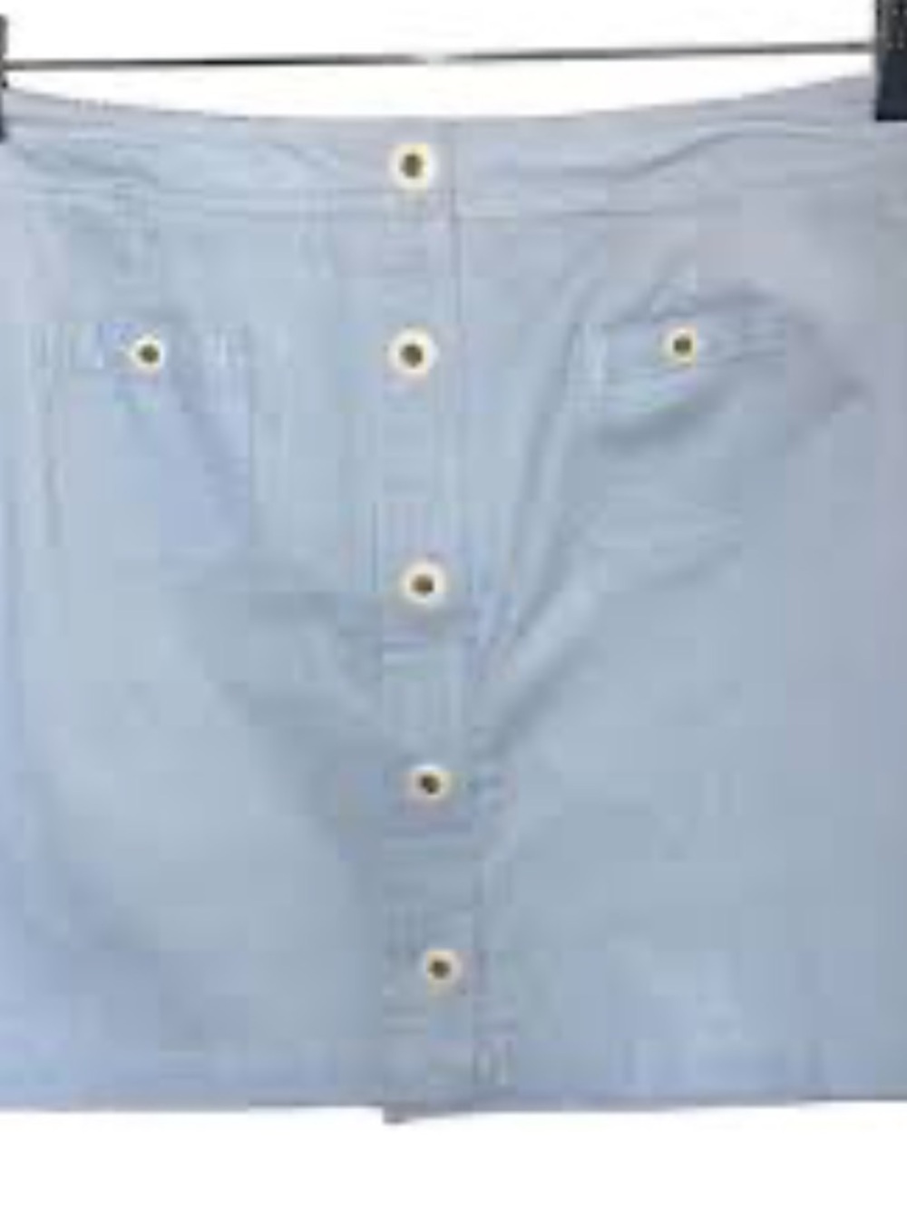 Vineyard Vines Light Blue Button-Front Skirt